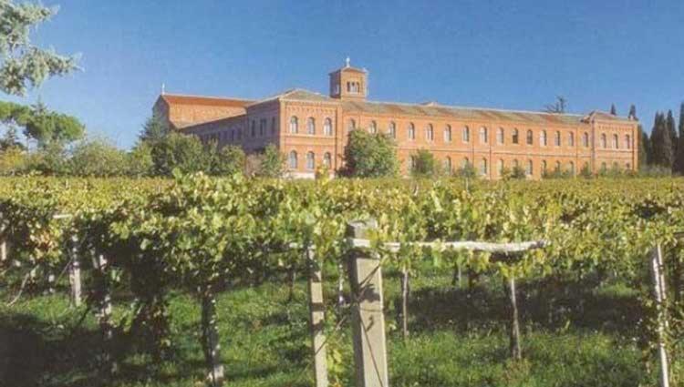 A Casa Di Marco Guesthouse - Apt Di Ciampino E Stazione Per Roma 马里诺 外观 照片